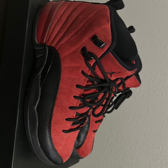Jordan reverse flu game 12